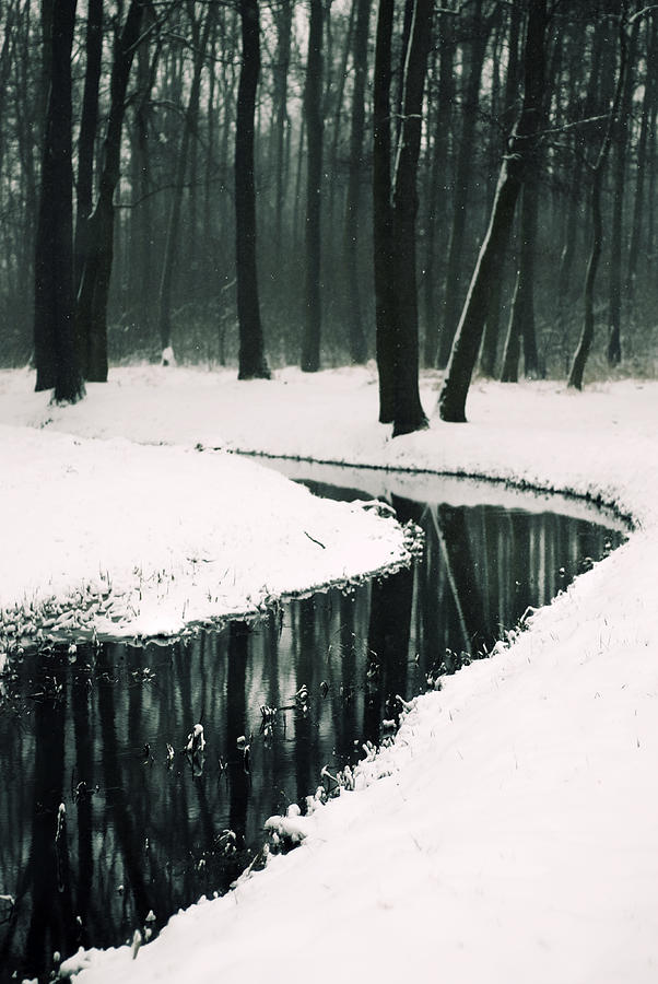 Winter Photograph - Winter lake by Art of Invi