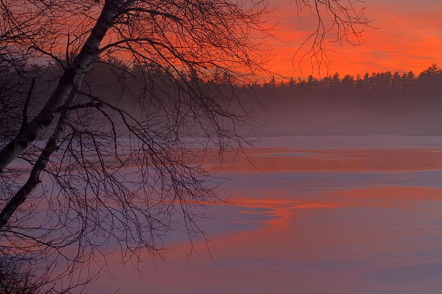 Winter Lake Mist At Twilight Photograph by Irwin Barrett