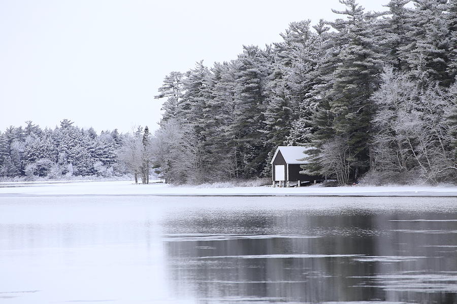 Winter lake scene Photograph by Gary Corbett