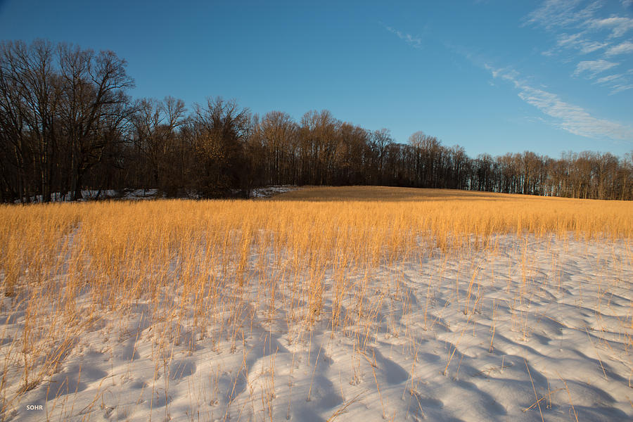 Winter Landscape 1 Photograph by Dana Sohr