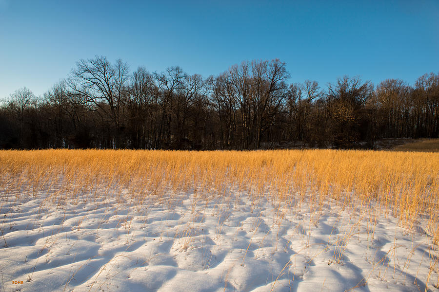 Winter Landscape 3 Photograph by Dana Sohr