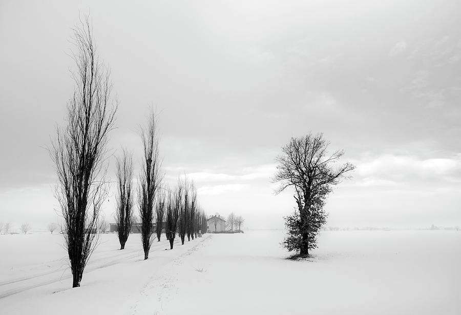 Winter landscape 3 Photograph by Livio Ferrari