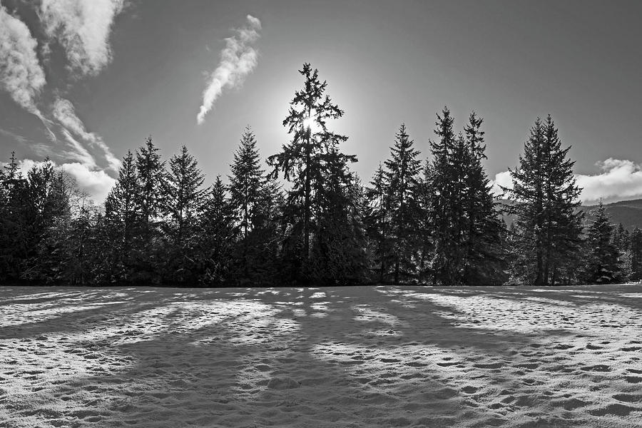 Winter Landscape - 365-317 Photograph by Inge Riis McDonald