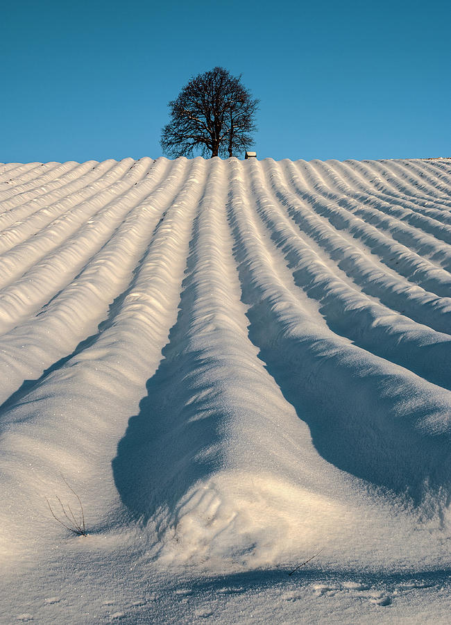 Winter landscape 4 Photograph by Livio Ferrari