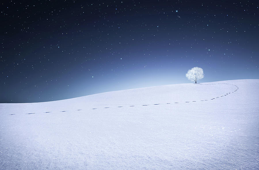 Winter Landscape Photograph by Bess Hamiti