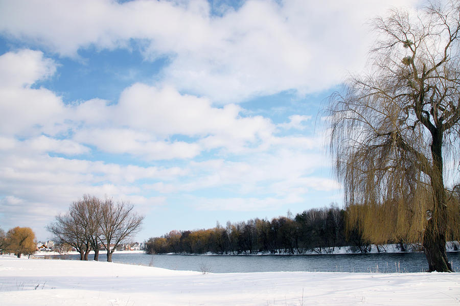 winter landscape by Iuliia Malivanchuk Photograph
