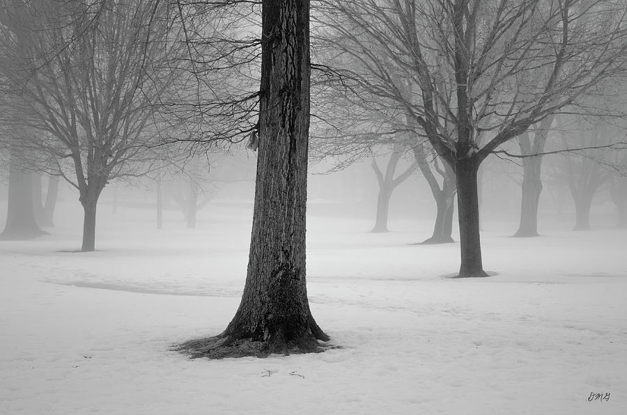 Nature Photograph - Winter Landscape II by David Gordon