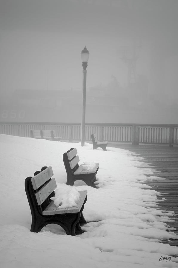 Winter Landscape III Photograph by David Gordon