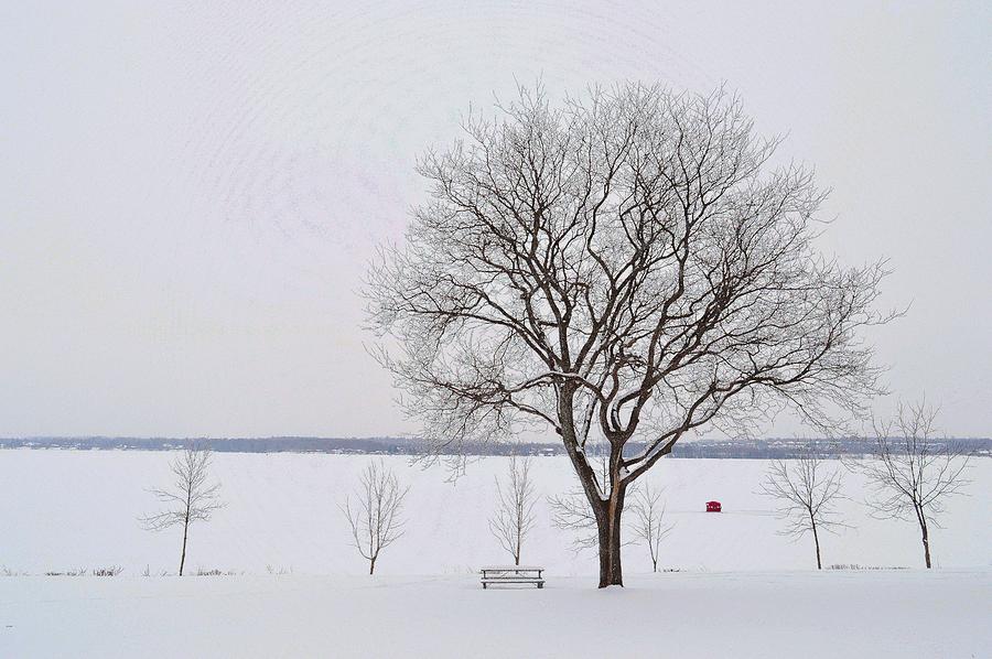 Winter Landscape In Barrie  Digital Art by Lyle Crump