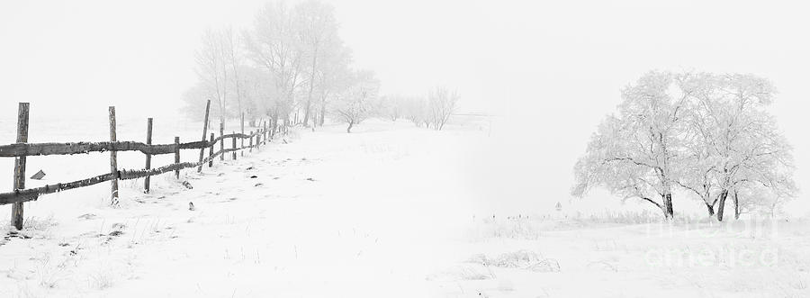 Winter Landscape - Let it Snow Painting by Celestial Images