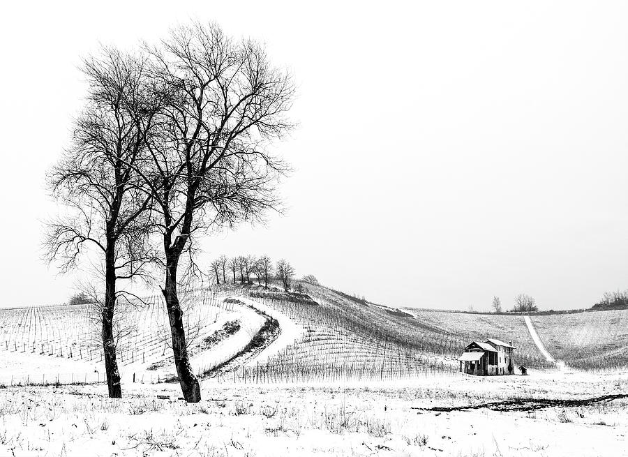 Winter landscape Photograph by Livio Ferrari