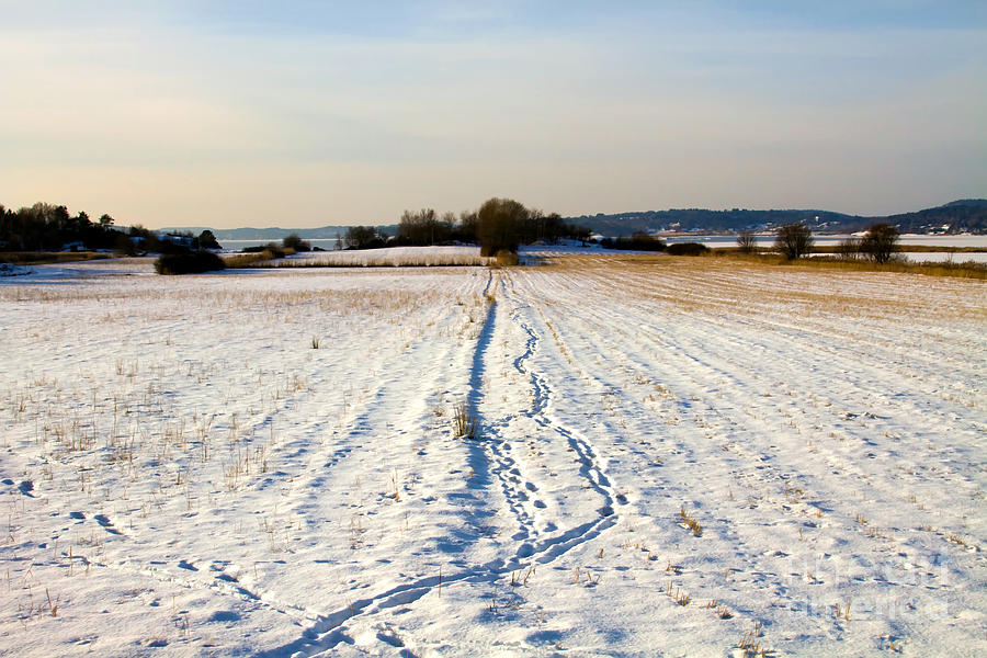 Winter Photograph - Winter Landscape by Lutz Baar