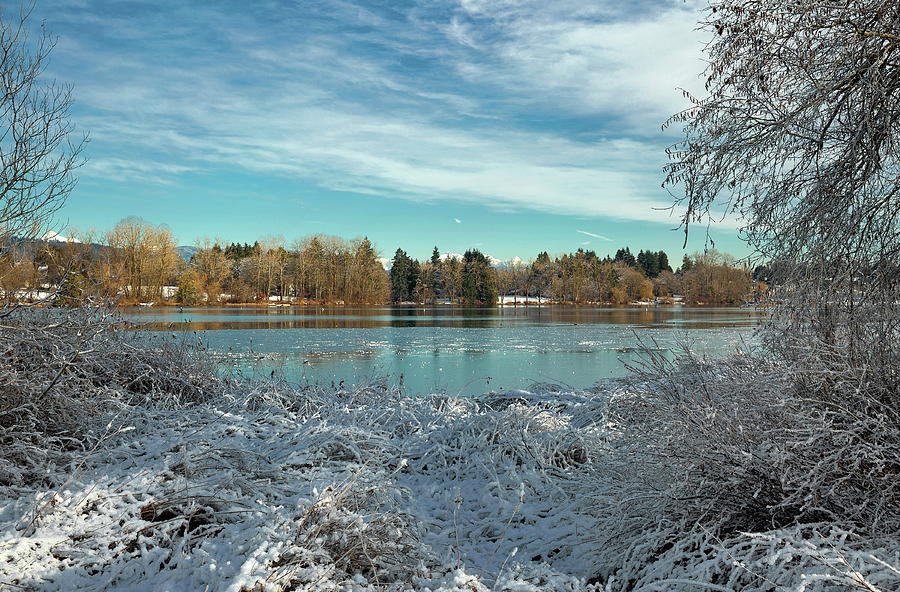 Winter landscape on the Deer Lake Park Photograph by Alex Lyubar