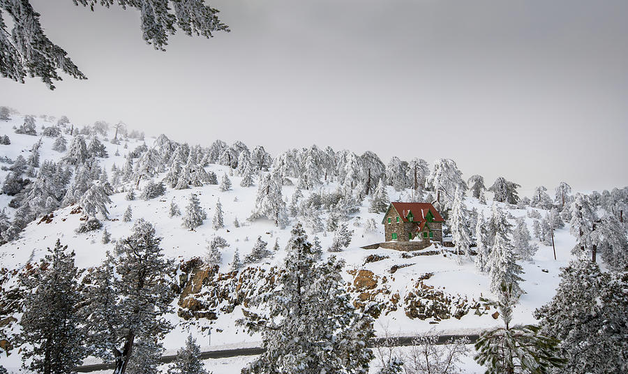 Winter landscape Troodos mountains Cyprus Photograph by Michalakis Ppalis