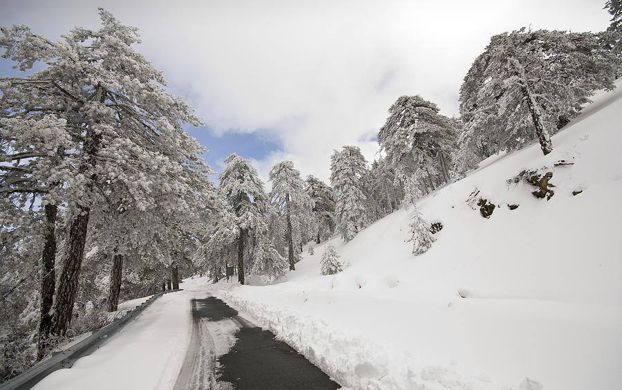 Winter Landscape troodos mountains, Cyprus #1 Photograph by Michalakis Ppalis