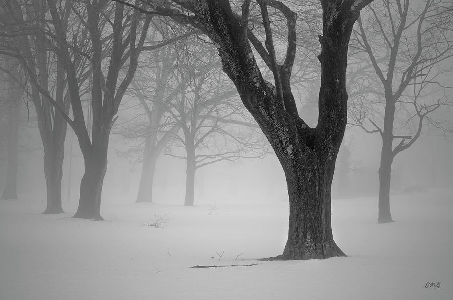 Winter Landscape V Photograph by David Gordon