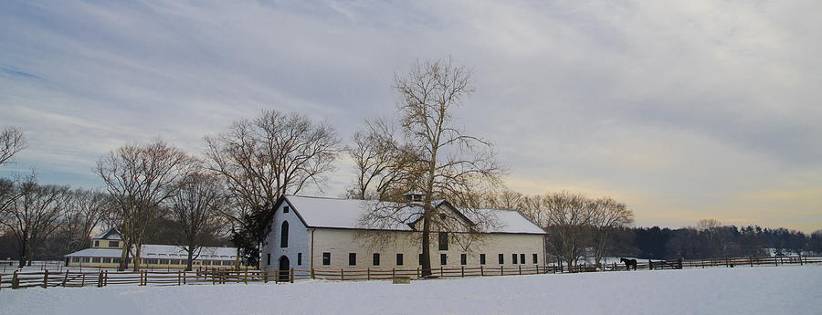Winter Landscape - Widener Horse Farm Photograph by Bill Cannon
