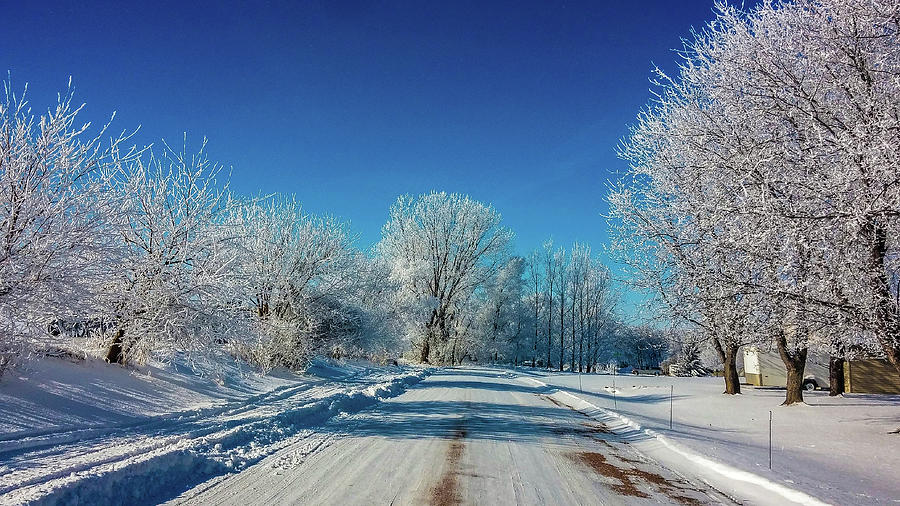 Winter Lane Photograph by Eric Hurlburt - Fine Art America