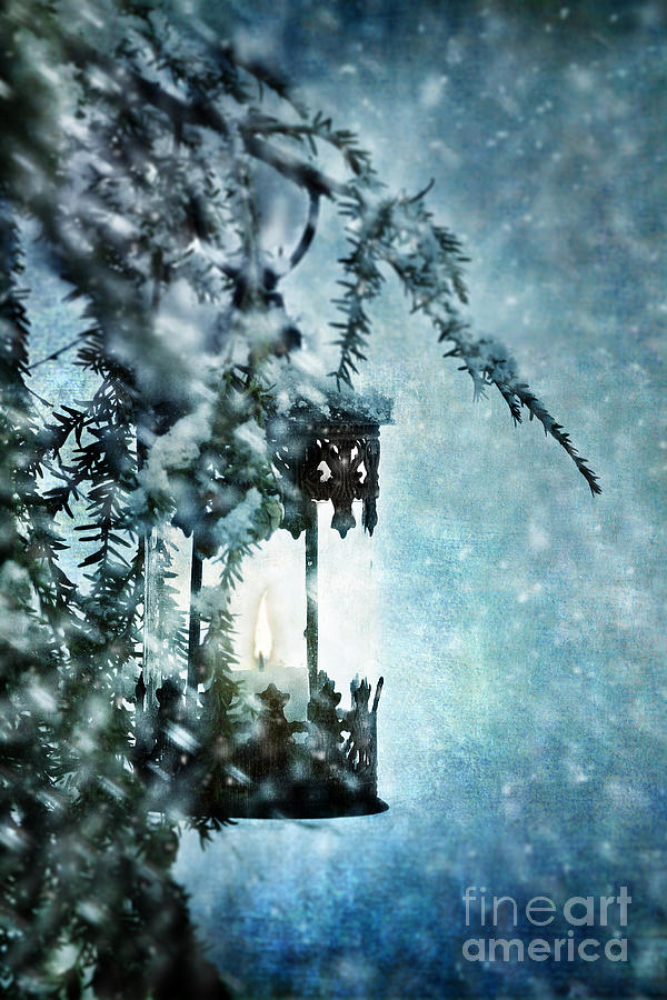 Winter Lantern Photograph by Stephanie Frey