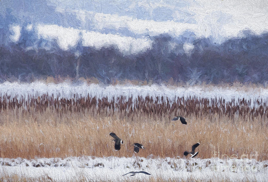 Winter Lapwings Digital Art by Liz Leyden