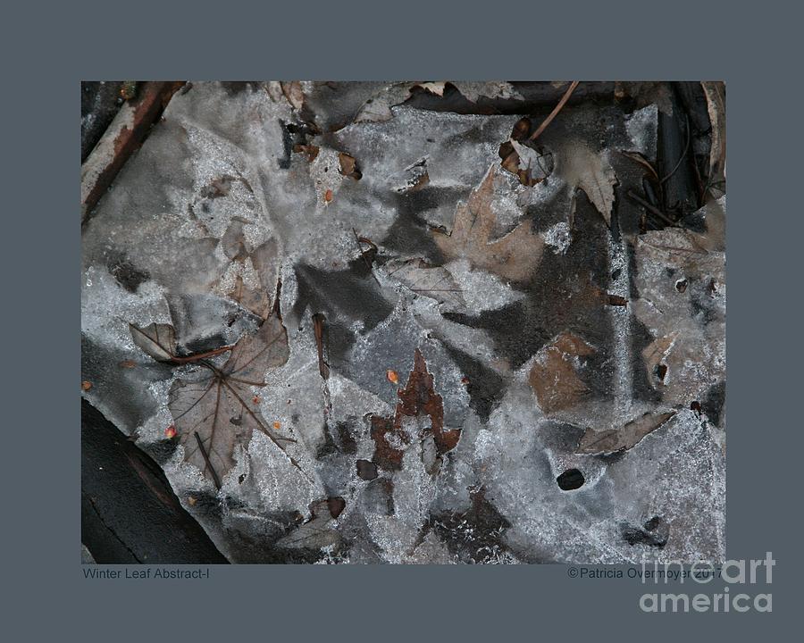 Winter Leaf Abstract-I Photograph by Patricia Overmoyer