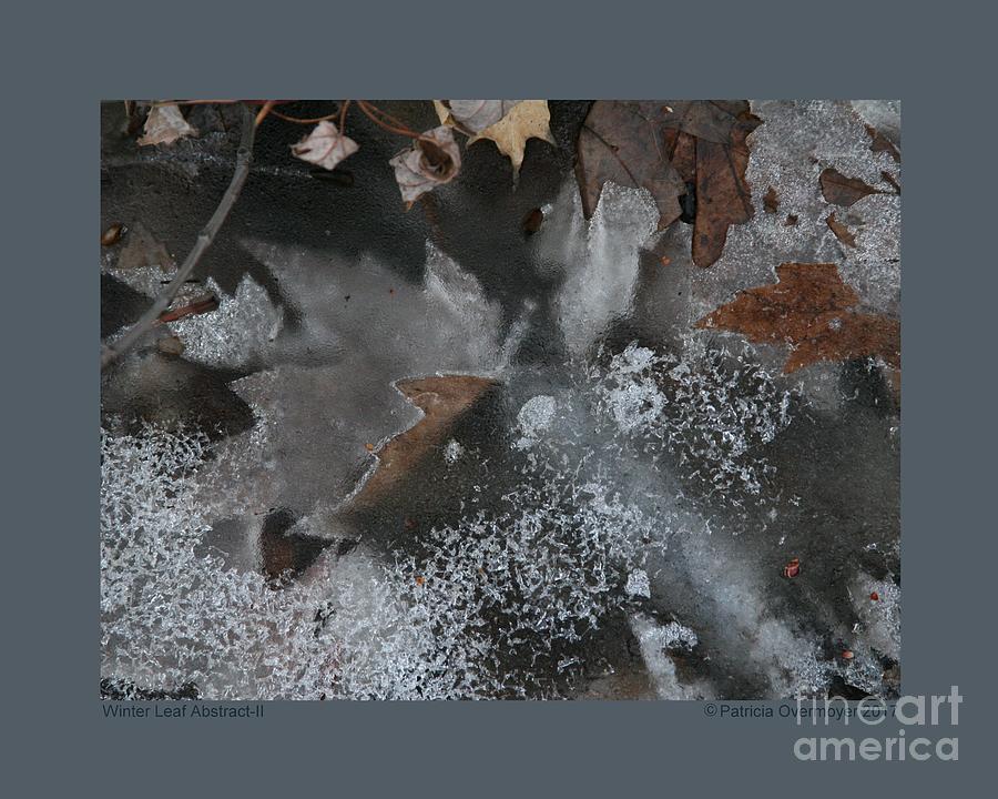 Winter Leaf Abstract-II Photograph by Patricia Overmoyer