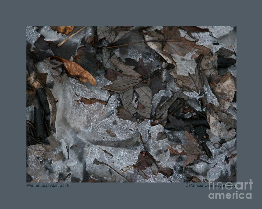 Abstract Photograph - Winter Leaf Abstract-III by Patricia Overmoyer