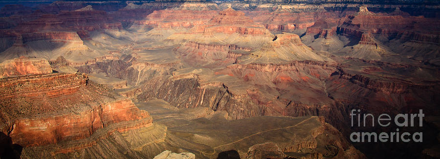 Winter light in Grand Canyon Photograph by Olivier Steiner