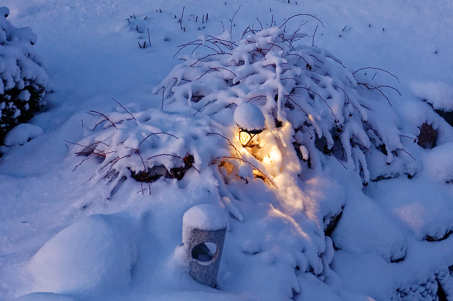 Winter light Photograph by Peter Ponzio