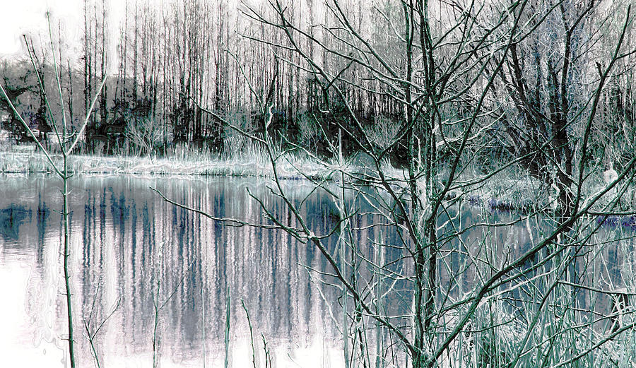 Winter Photograph by Linda Sannuti