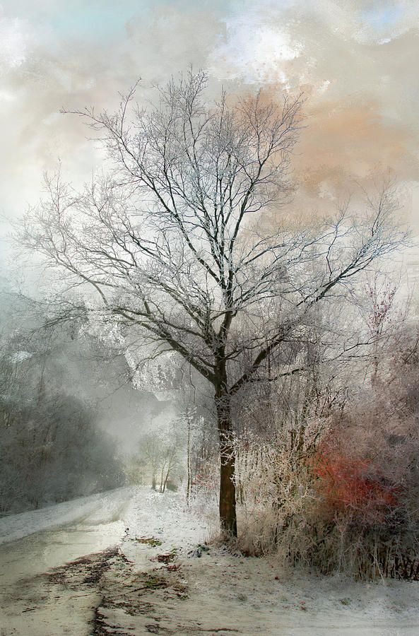 Winter Magic by Annie Snel Winter Magic by Annie Snel