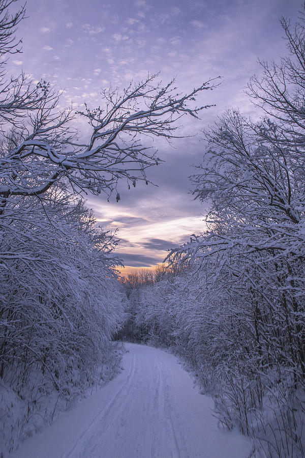 Winter Magic Photograph by White Mountain Images