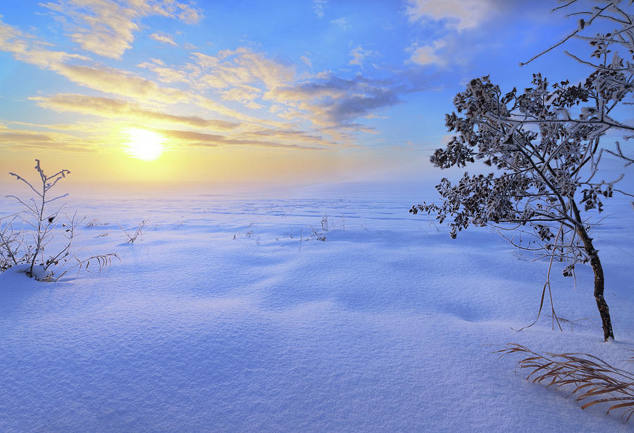 Winter Magic Photograph by Dan Jurak