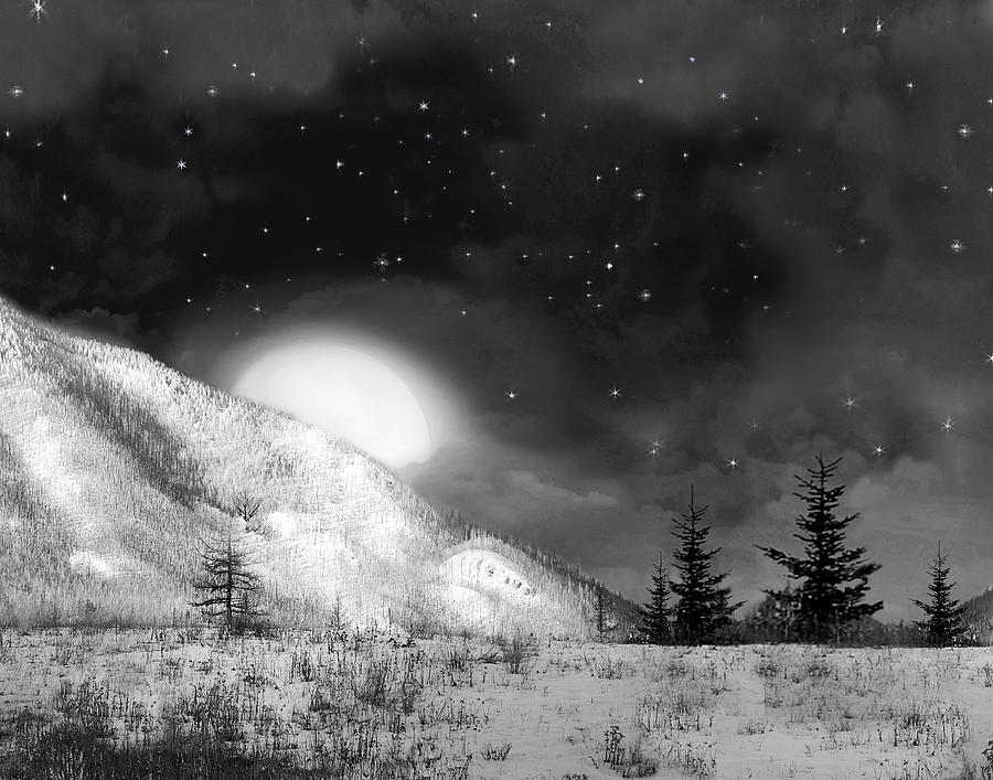 Winter Magic in Black and White Digital Art by Vicki Lea Eggen