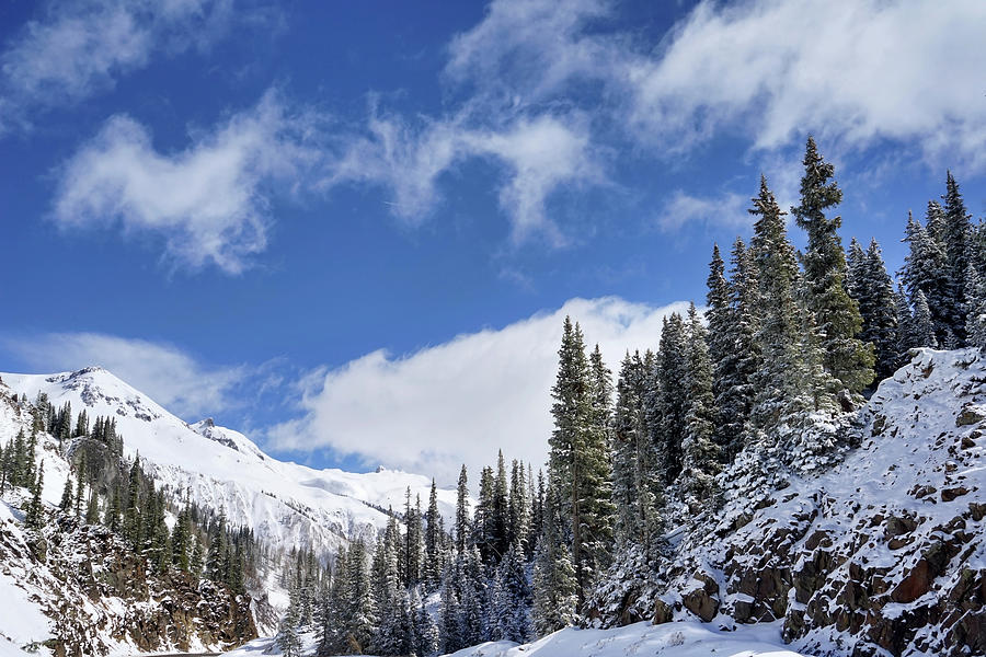 Winter Majesty Photograph by Leda Robertson