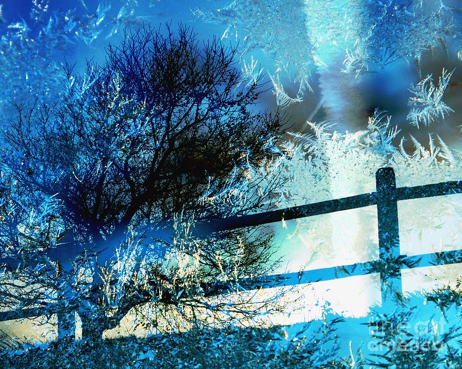 Winter Photograph - Winter Memory by Hideaki Sakurai