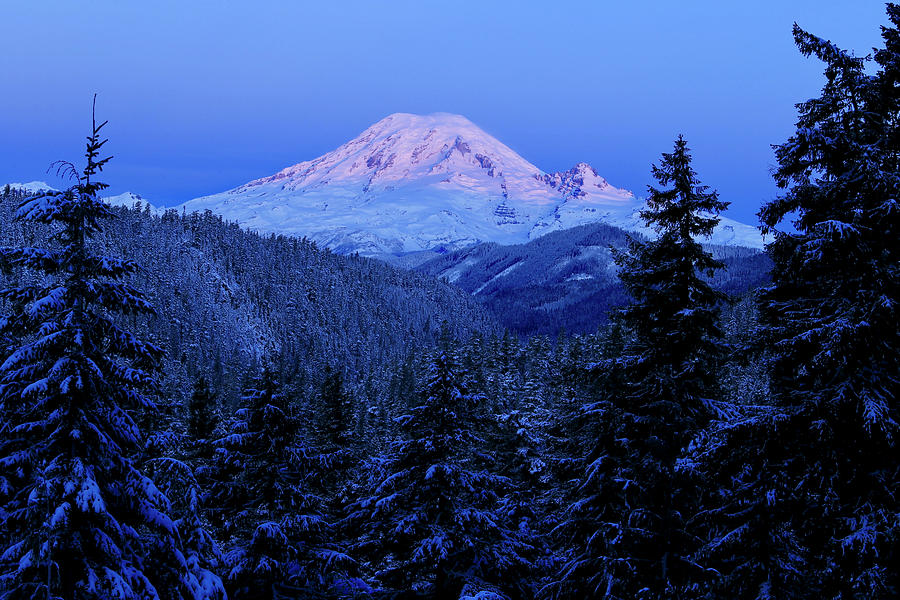 Winter Morning with Mount Rainier 2 Photograph by Lynn Hopwood