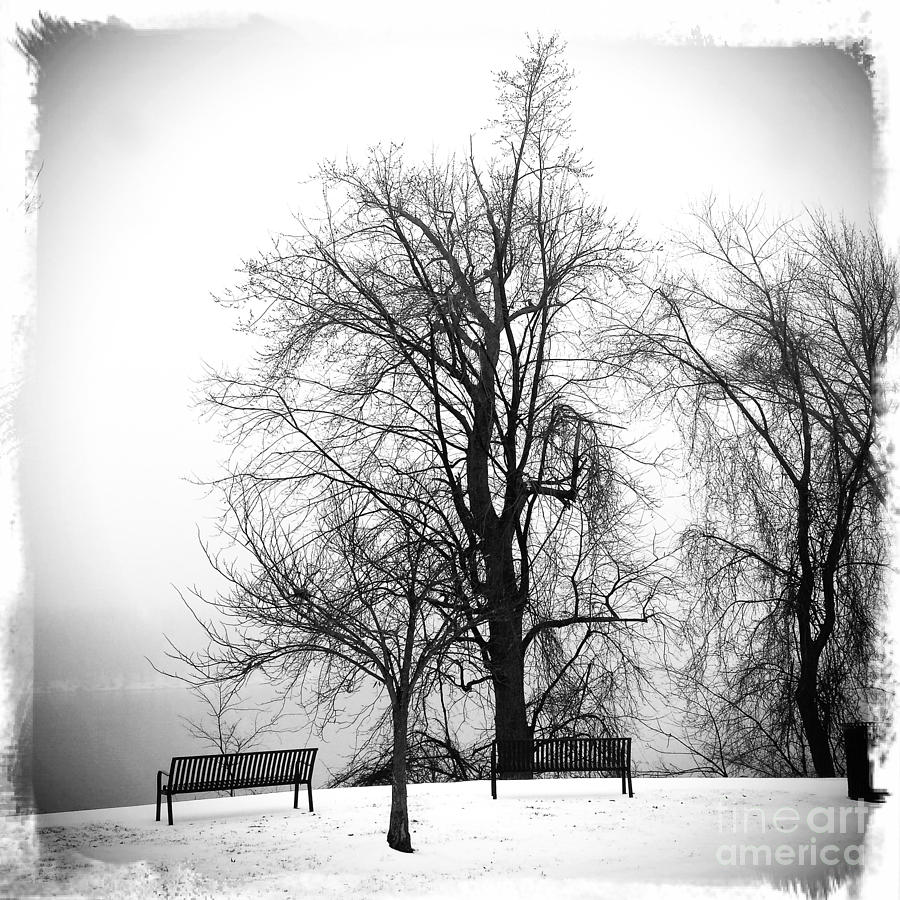Winter Mist- AS4000001 Photograph by Daniel Dempster