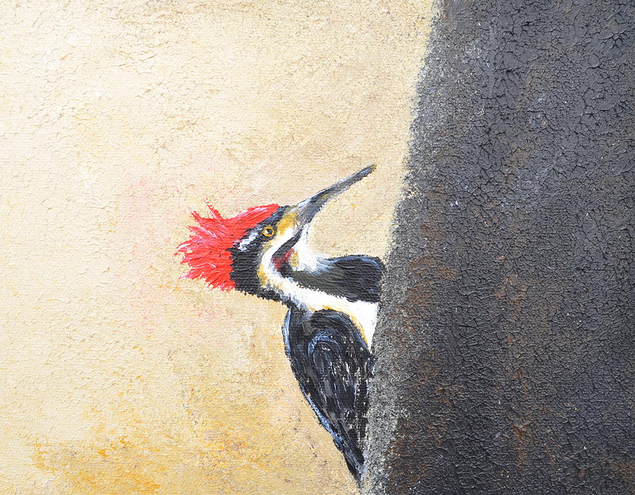 Woodpecker Painting - Winter Mohawk by Sara Gardner