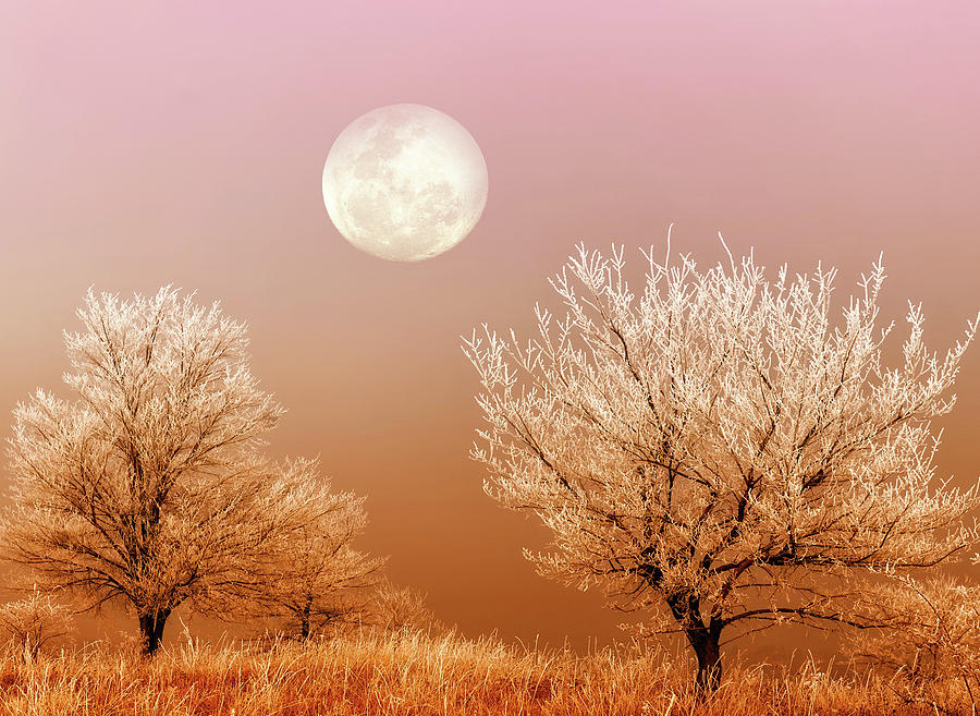 Winter Moon by KaFra Art Winter Moon by KaFra Art
