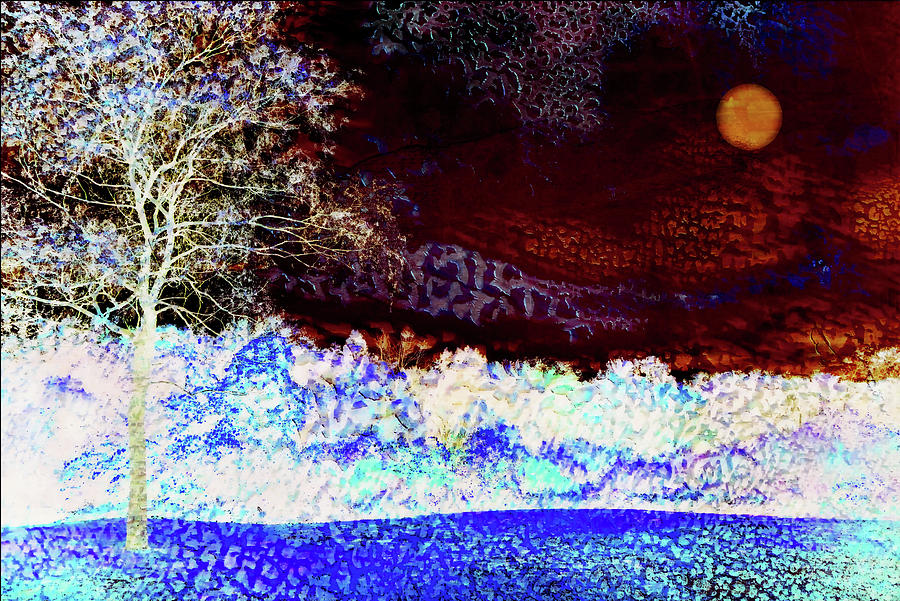 Winter Moon landscape Digital Art by Lilia D