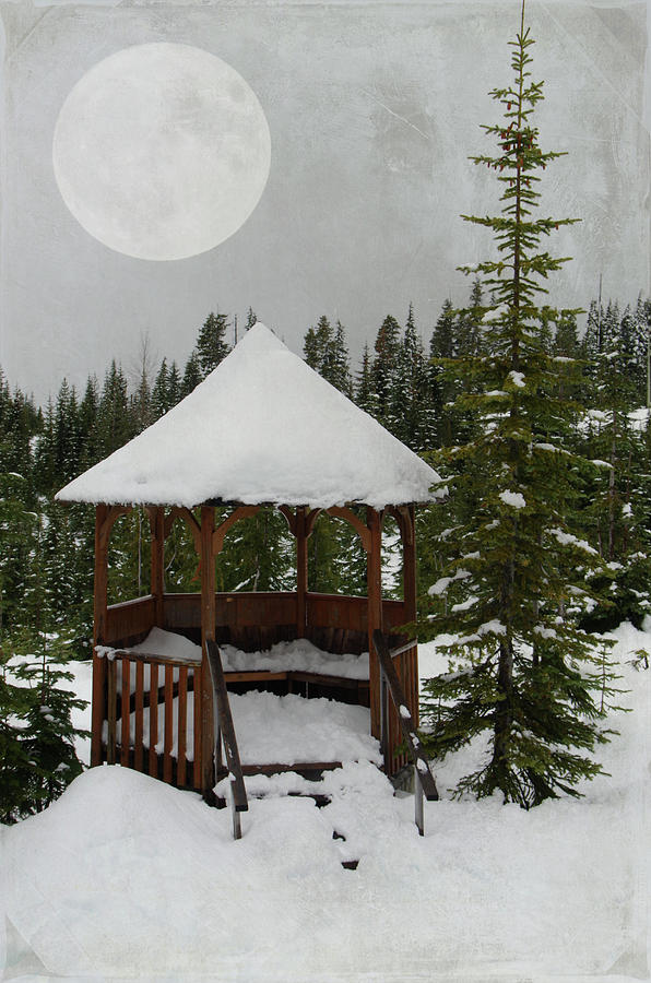 Winter Moon Photograph by Marilyn Wilson