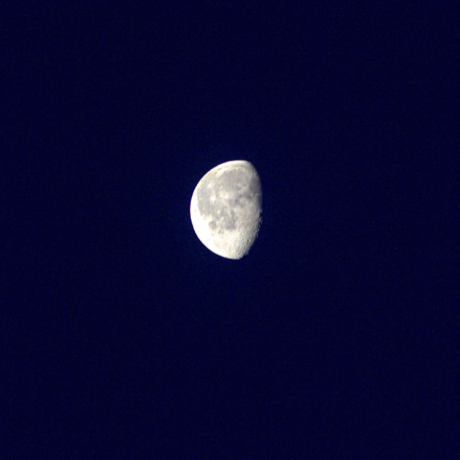 Winter Moon Photograph by  Newwwman