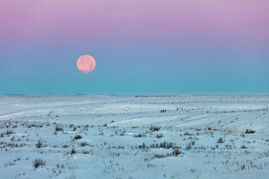 Winter Moon Photograph by Todd Klassy