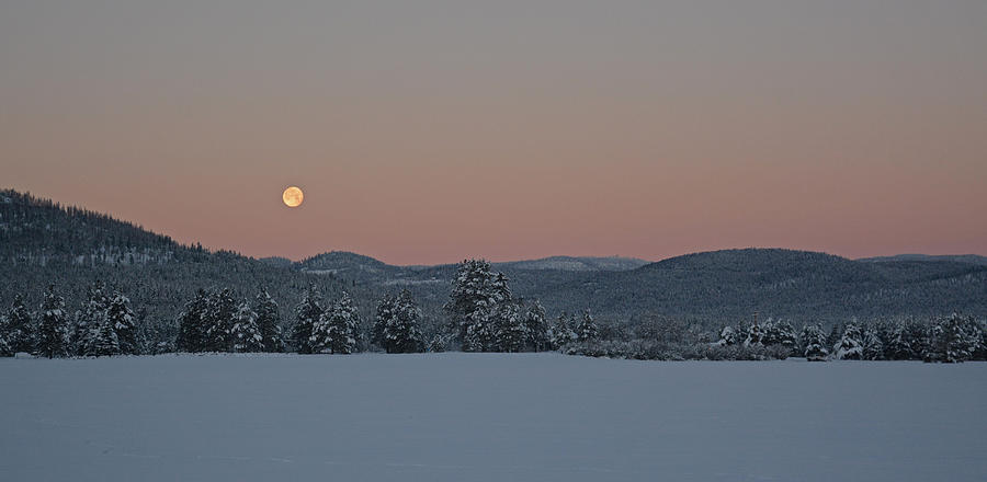 Winter Moon Photograph by Whispering Peaks Photography