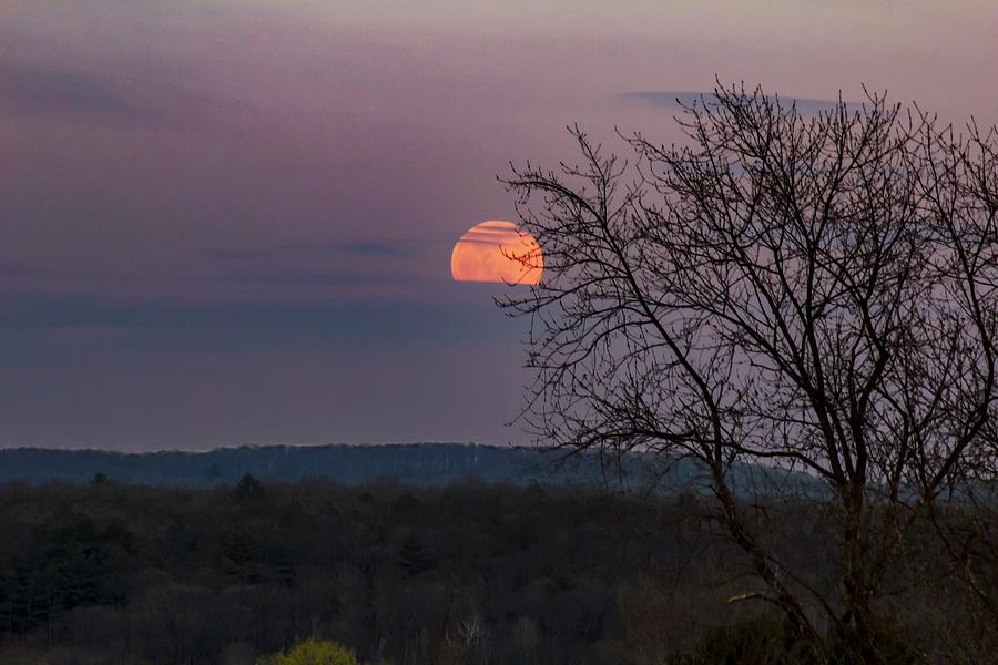Winter moonrise by Sven Kielhorn Winter moonrise by Sven Kielhorn