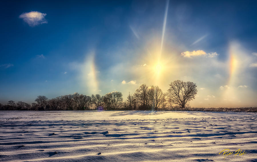 Winter Morn in Minnesota Photograph by Rikk Flohr