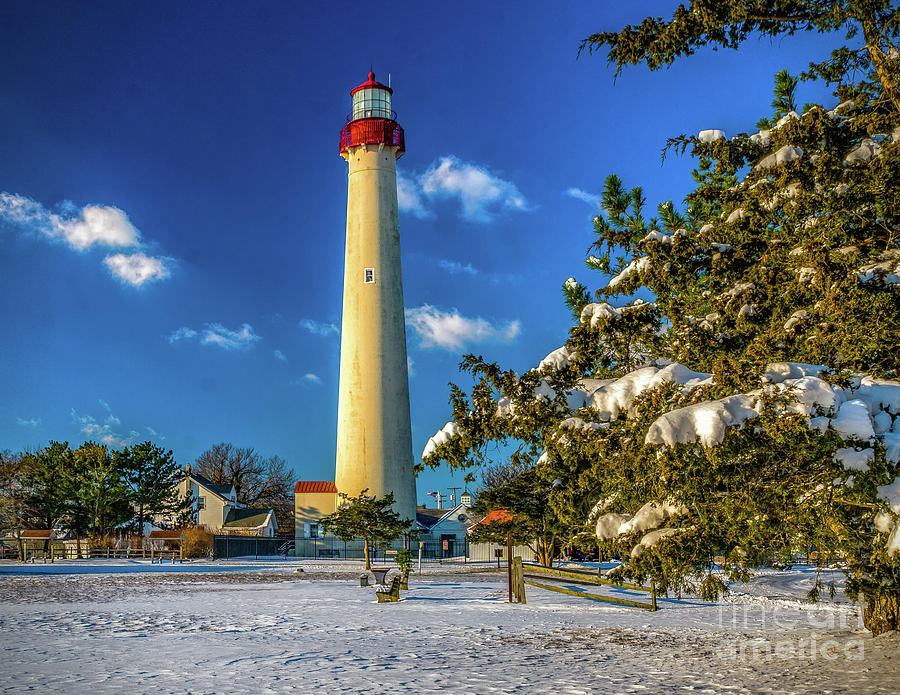 Winter Morning at Cape May Light Photograph by Nick Zelinsky Jr