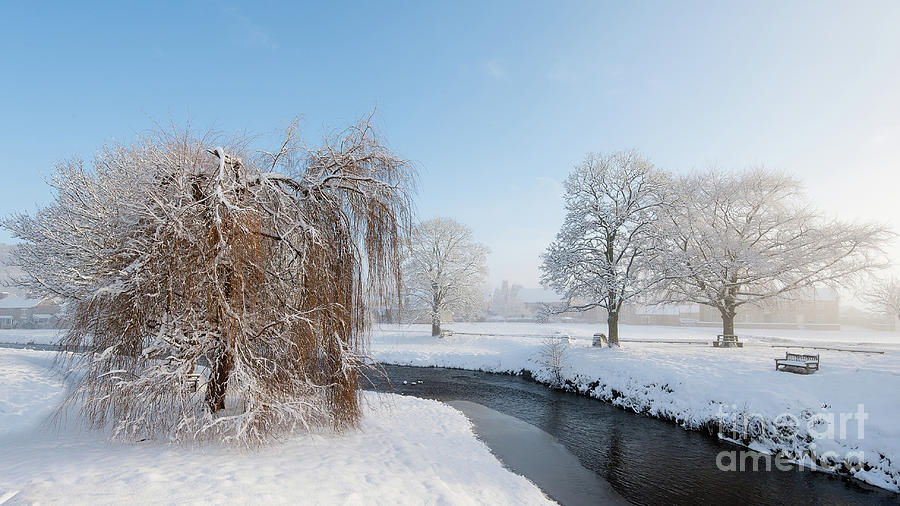Winter Morning at Sinnigton Photograph by Janet Burdon