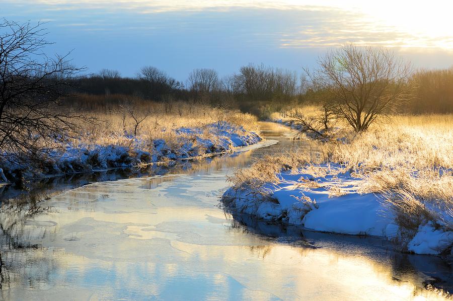 Winter Morning Photograph by Bonfire Photography